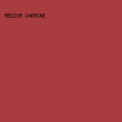 a93c40 - Medium Carmine color image preview