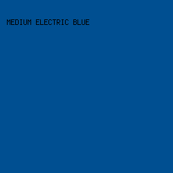 004f91 - Medium Electric Blue color image preview