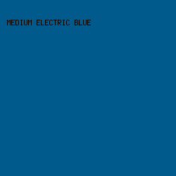 005A8C - Medium Electric Blue color image preview