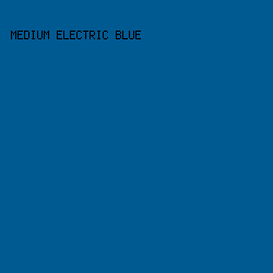 005A92 - Medium Electric Blue color image preview
