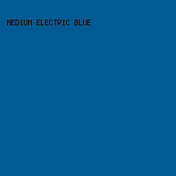 005b95 - Medium Electric Blue color image preview