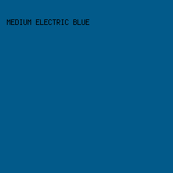 025a8a - Medium Electric Blue color image preview