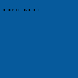 065A9C - Medium Electric Blue color image preview