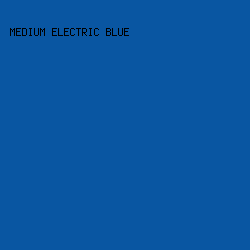 0956A2 - Medium Electric Blue color image preview