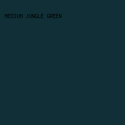 102F36 - Medium Jungle Green color image preview