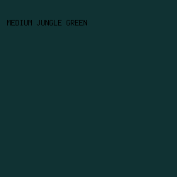103233 - Medium Jungle Green color image preview