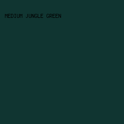 103531 - Medium Jungle Green color image preview