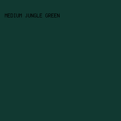113931 - Medium Jungle Green color image preview