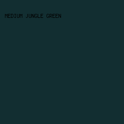 122E31 - Medium Jungle Green color image preview