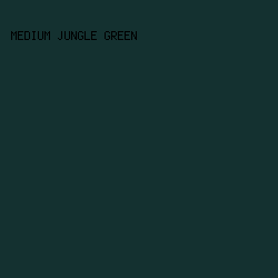 143130 - Medium Jungle Green color image preview