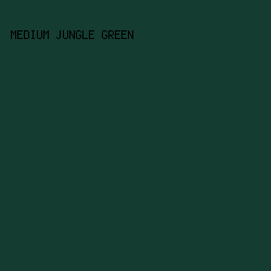 143C31 - Medium Jungle Green color image preview