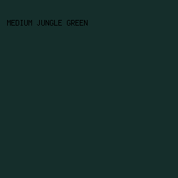 152e2b - Medium Jungle Green color image preview