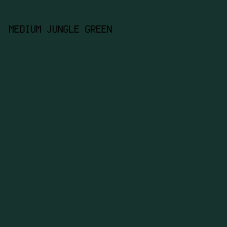 16342D - Medium Jungle Green color image preview