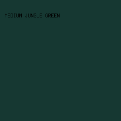 163832 - Medium Jungle Green color image preview