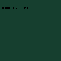 163f2f - Medium Jungle Green color image preview