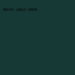 173935 - Medium Jungle Green color image preview