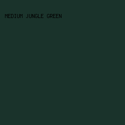 1A332B - Medium Jungle Green color image preview