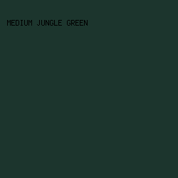 1C352D - Medium Jungle Green color image preview