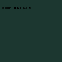 1C3730 - Medium Jungle Green color image preview