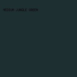 1E2F32 - Medium Jungle Green color image preview