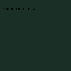 1a2f26 - Medium Jungle Green color image preview