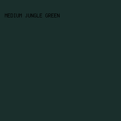 1a2f2c - Medium Jungle Green color image preview