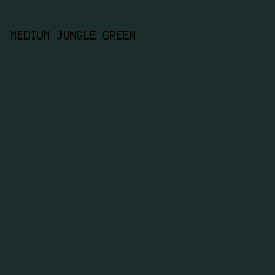 1b2e2c - Medium Jungle Green color image preview
