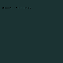 1b3333 - Medium Jungle Green color image preview