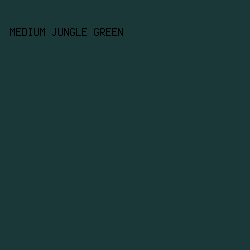 1b3838 - Medium Jungle Green color image preview