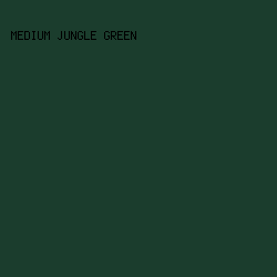 1b3d2d - Medium Jungle Green color image preview