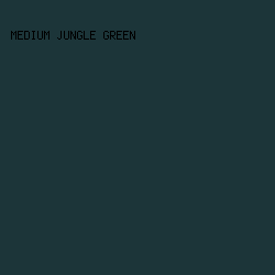 1c3539 - Medium Jungle Green color image preview