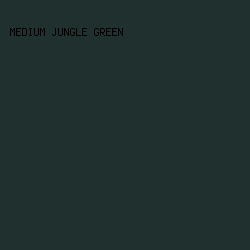 1f302e - Medium Jungle Green color image preview