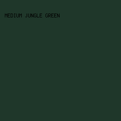 1f372a - Medium Jungle Green color image preview