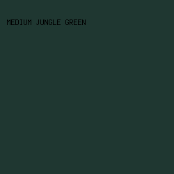 1f3731 - Medium Jungle Green color image preview