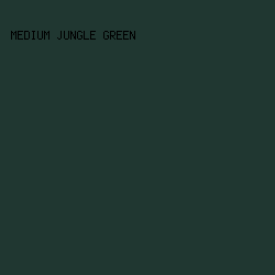 203731 - Medium Jungle Green color image preview