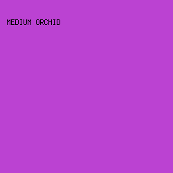 BB42D2 - Medium Orchid color image preview