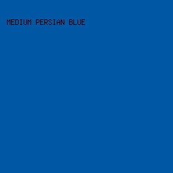 0058a5 - Medium Persian Blue color image preview