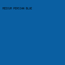 0A5FA2 - Medium Persian Blue color image preview