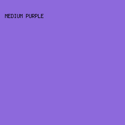 8D69DC - Medium Purple color image preview