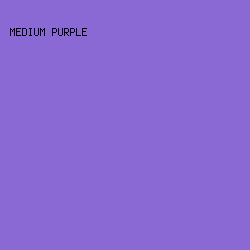 8b69d5 - Medium Purple color image preview