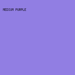 917EE3 - Medium Purple color image preview