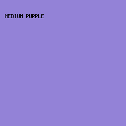 9382d7 - Medium Purple color image preview