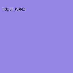 9585E4 - Medium Purple color image preview
