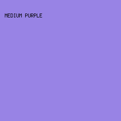 9883E5 - Medium Purple color image preview