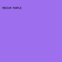9D6FEF - Medium Purple color image preview