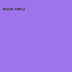 9c73ea - Medium Purple color image preview
