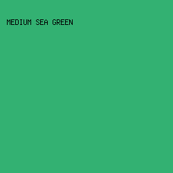 33b172 - Medium Sea Green color image preview