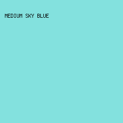 83E1DE - Medium Sky Blue color image preview