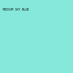 85e8db - Medium Sky Blue color image preview