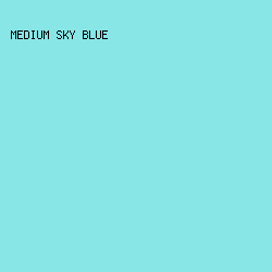 88E6E6 - Medium Sky Blue color image preview